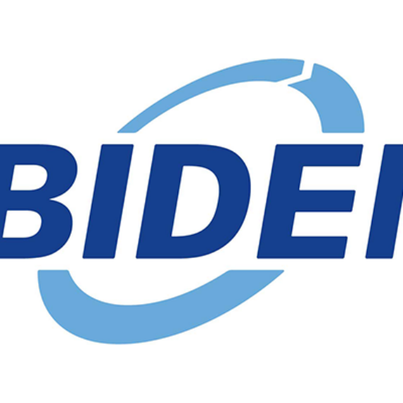 Ibiden